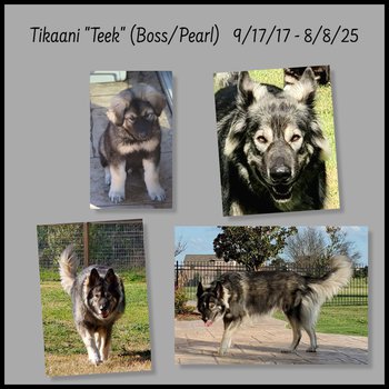 Teek memorial screenshot.png