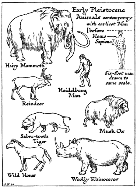 pleistocene time period