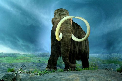 640px-Wooly_Mammoth-RBC.jpg