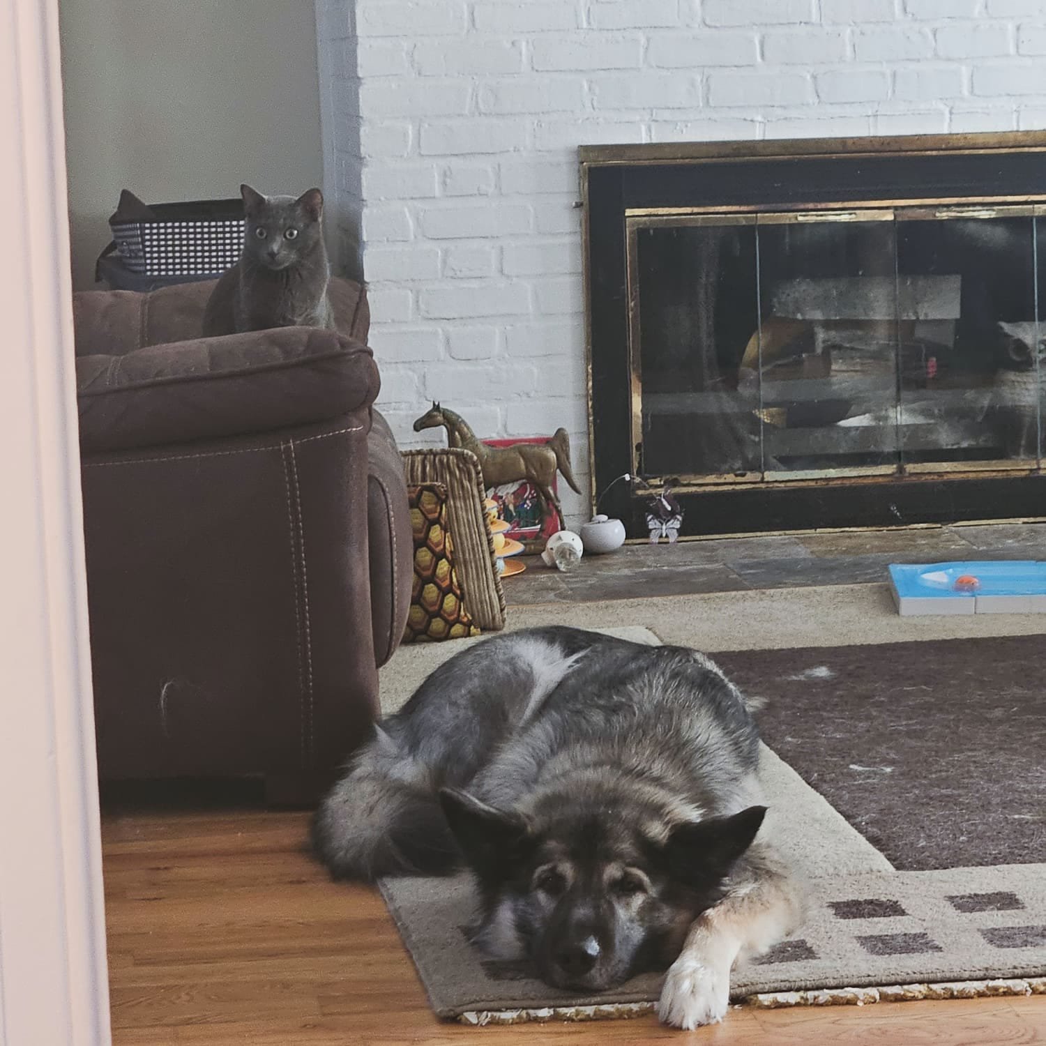 Akasha by the fire place.jpg