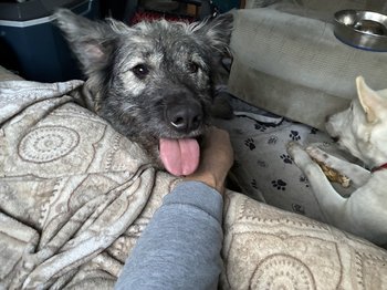 Barracuda with jay.jpg