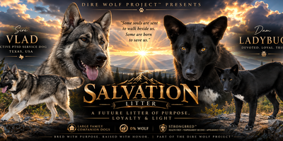 The Salvation Litter