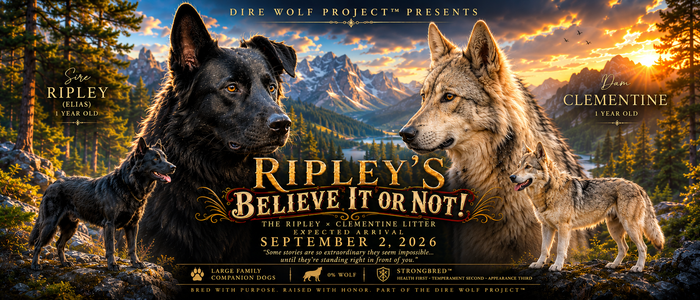 Ripley's Believe It or Not! Litter Banner - AI - 2.jpeg