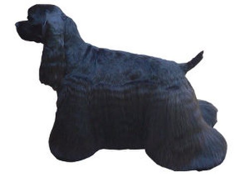 Cocker_Spaniel_Américain.jpg