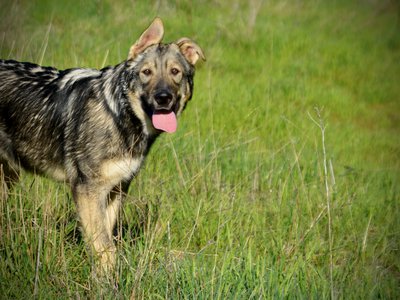 Solar System - 6 months old - Neptune1