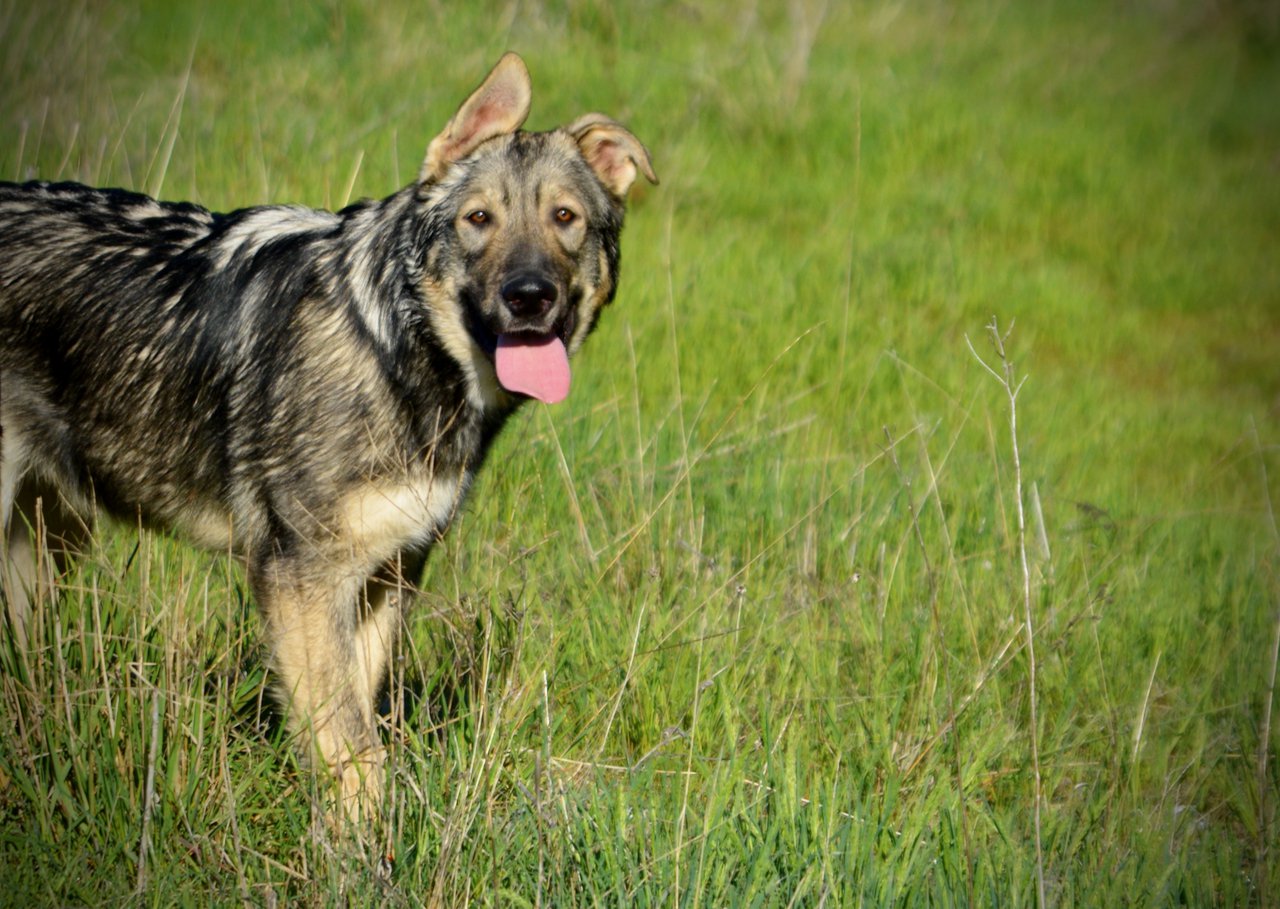 Solar System - 6 months old - Neptune1
