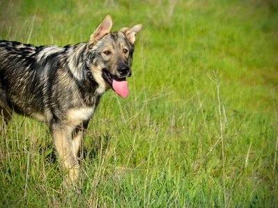 Solar System - 6 months old - Neptune2