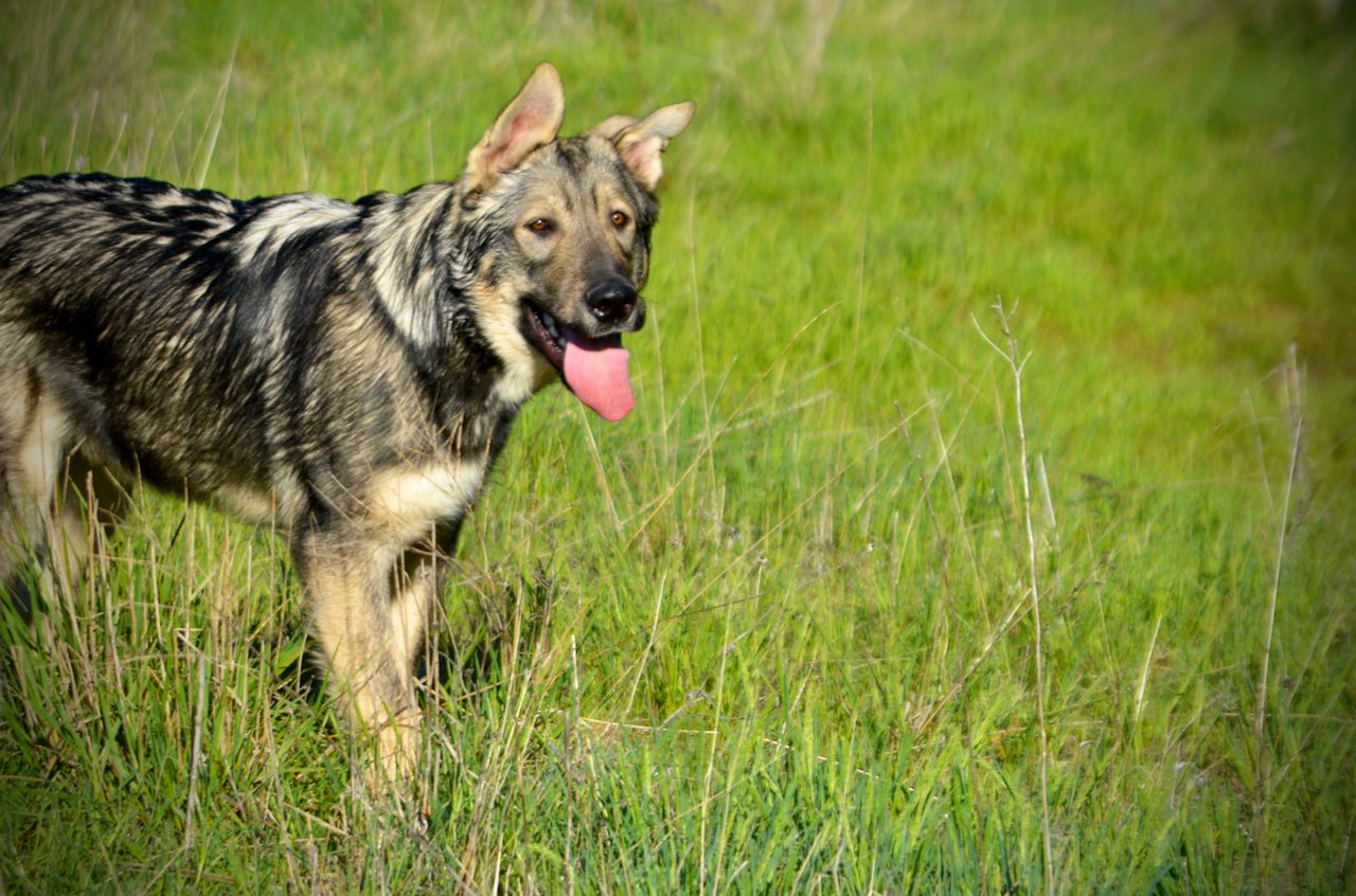 Solar System - 6 months old - Neptune2