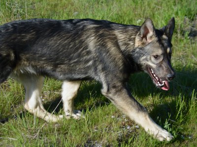 Solar System - 6 months - Mars5