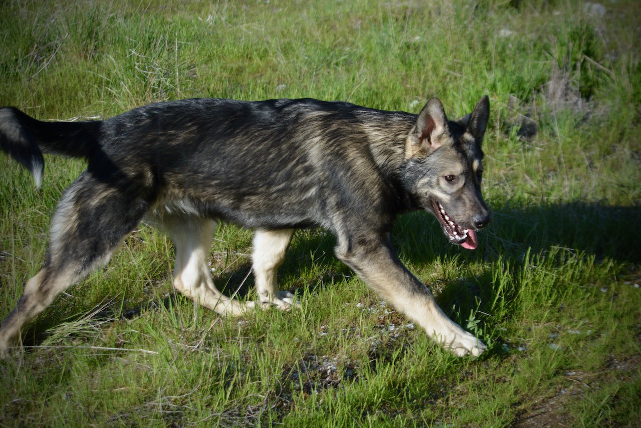 Solar System - 6 months - Mars5