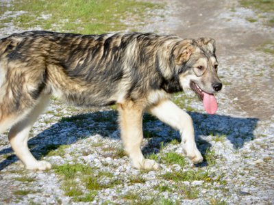 Solar System - 6 months - Saturn4