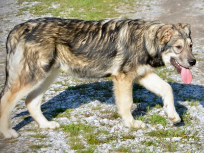 Solar System - 6 months - Saturn4