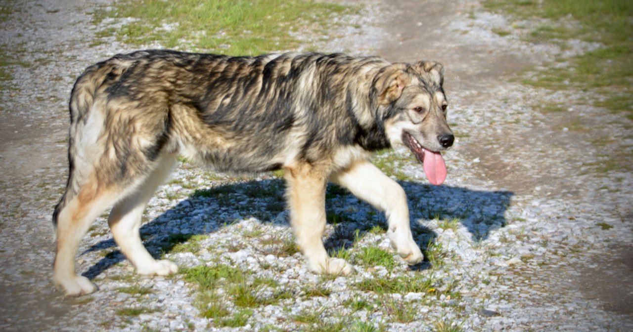 Solar System - 6 months - Saturn4