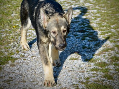 Solar System - 6 months - Mars1