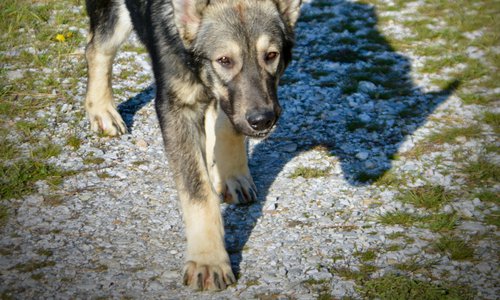 Solar System - 6 months - Mars1