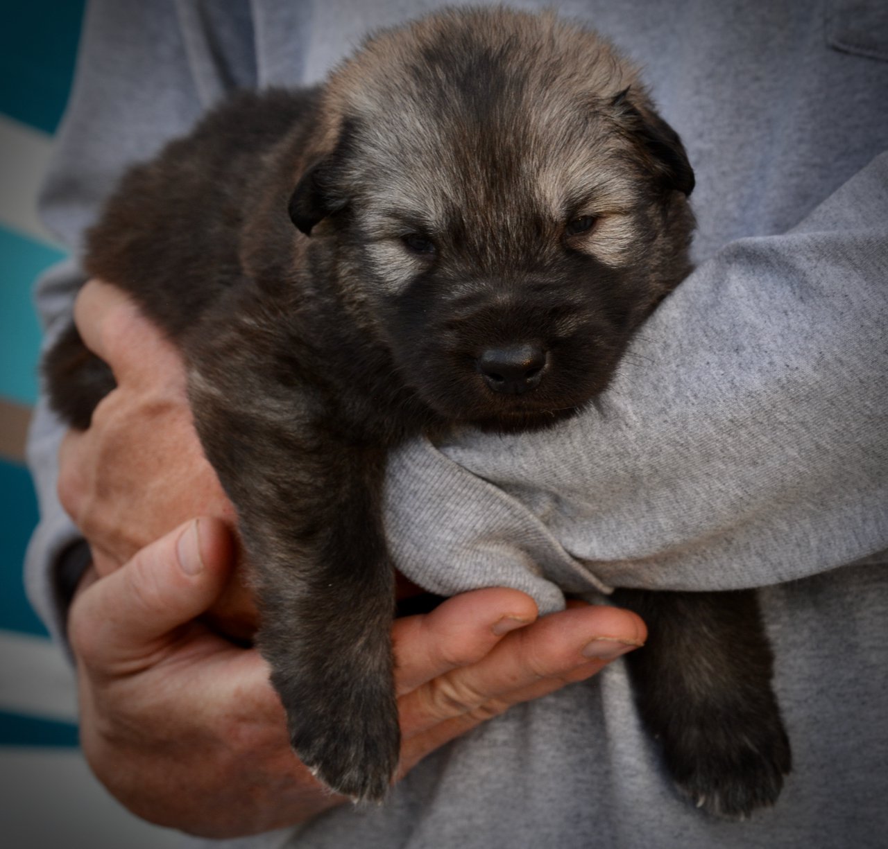 Creature - 3 weeks old - body shot