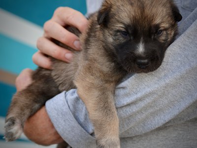 Balrog - 3 weeks old - body shot