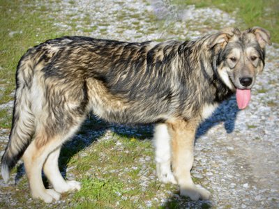 Solar System - 6 months - Saturn3