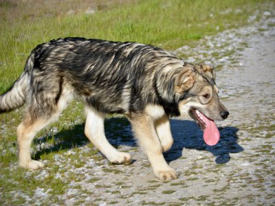 Solar System - 6 months - Saturn2