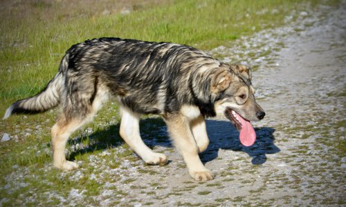 Solar System - 6 months - Saturn2