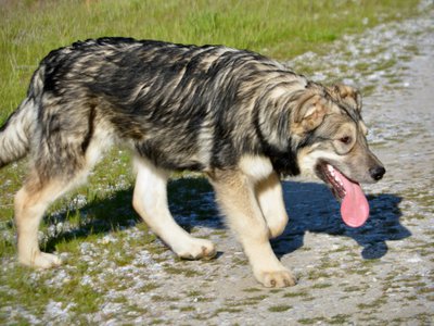 Solar System - 6 months - Saturn2