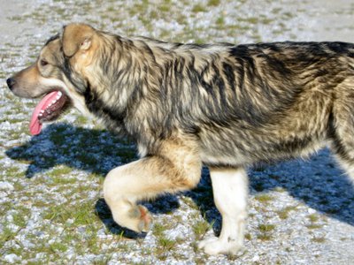 Solar System - 6 months - Saturn1