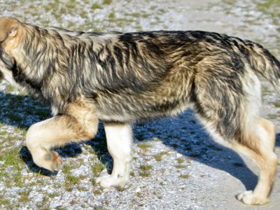 Solar System - 6 months - Saturn1