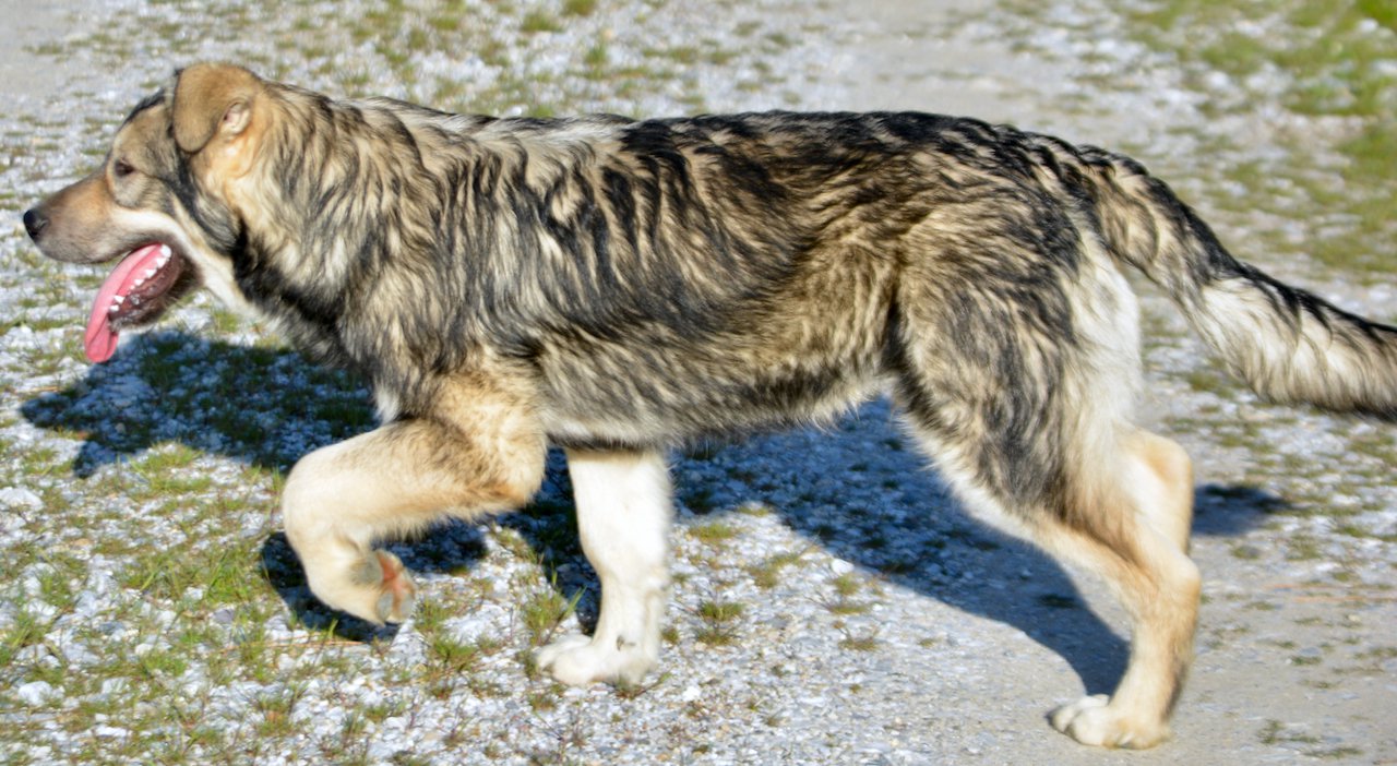 Solar System - 6 months - Saturn1