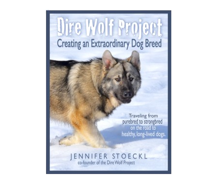 DWP_Book_Cover_-_white_background.width-450-removebg-preview.png