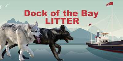 Dock of the Bay Litter