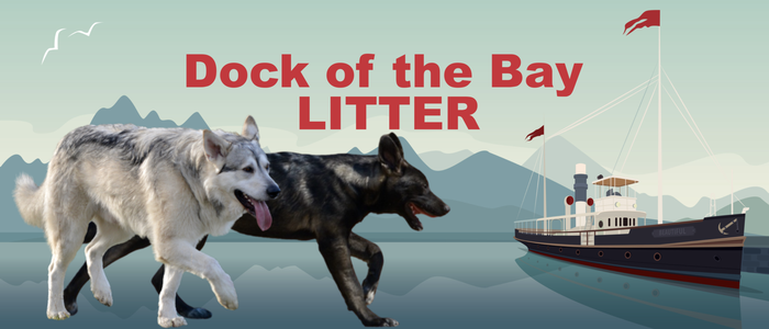 Dock of the Bay Litter