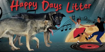 Happy Days Litter - updated.jpeg