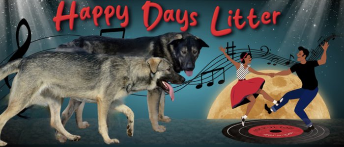 Happy Days Litter - updated.jpeg