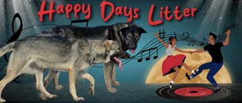 Happy Days Litter - updated.jpeg