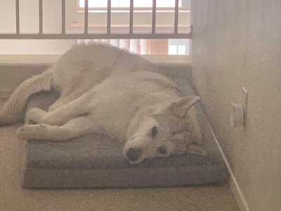 Hati (True Love - Triton x Darla).jpg