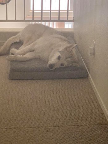 Hati (True Love - Triton x Darla).jpg