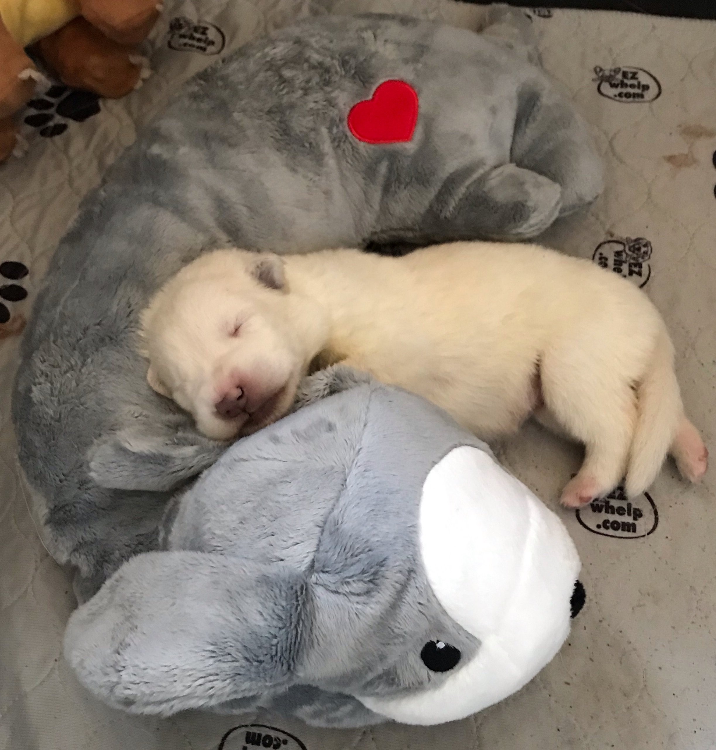 Yeti Sleeping with Heartbeat Toy