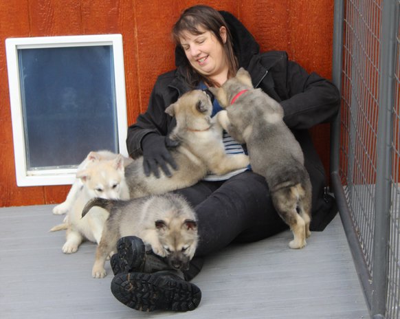 Jennifer N Pups