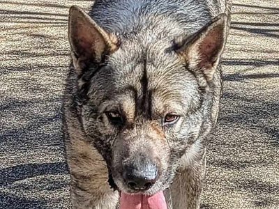 Jormu (Ranger) 2.jpg