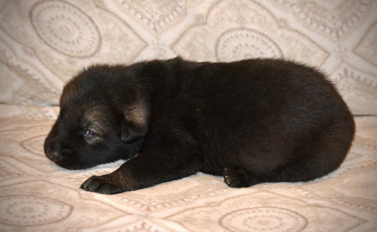 Junior 2.5 weeks 5.jpg
