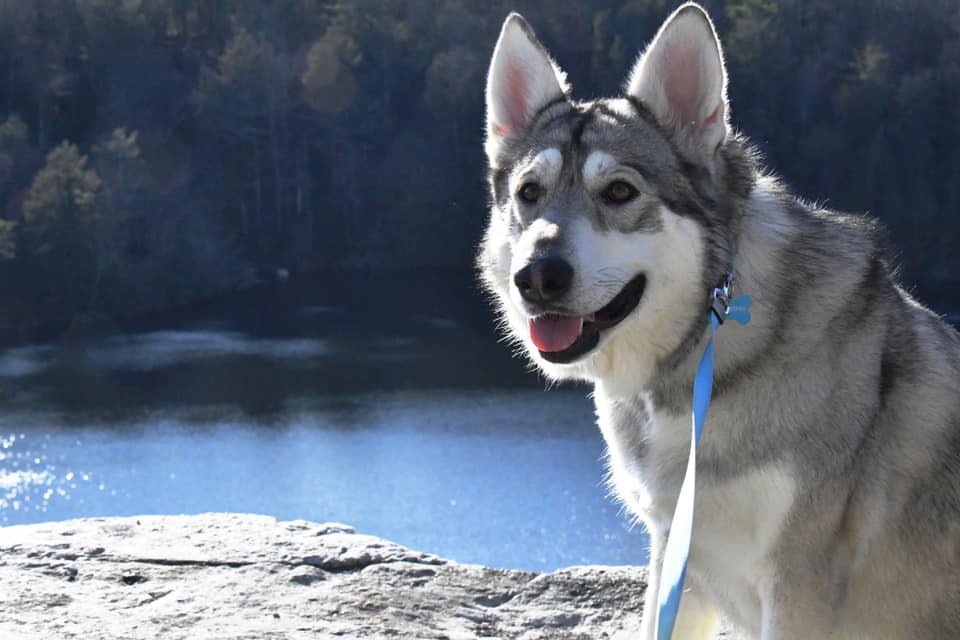 Lovie by the lake.jpg