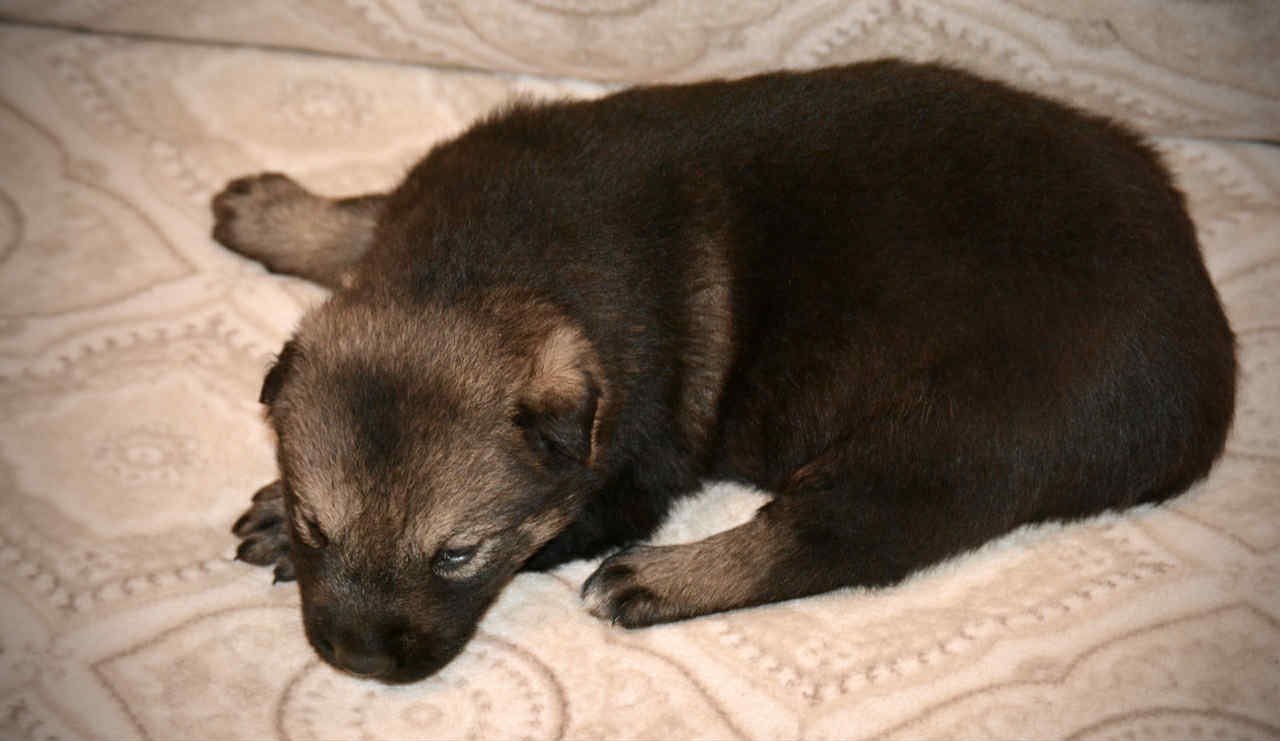 Margorie 2.5 weeks 2.jpg