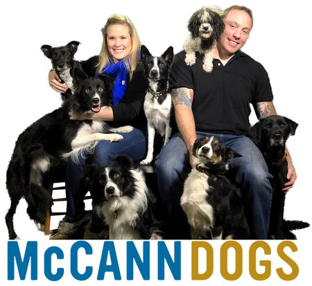 McCann-Dogs-Professional-Dog-Training-OG-Image.jpg
