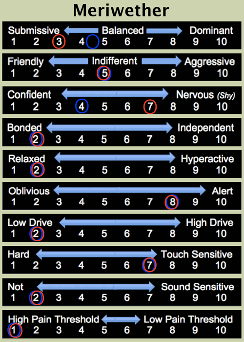 Meriwether Temperament.png