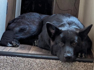 Nakoma (Hamilton) (2).jpg