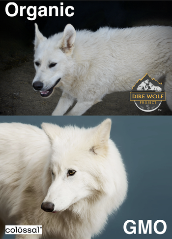 Organic - GMO Meme