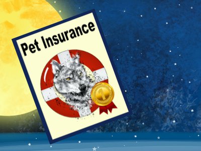 Pet Insurance Banner.jpg