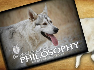 Philosophy banner.jpg