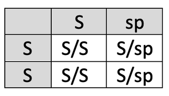 Punnett square.png