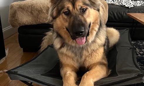 (Rocky) .jpg